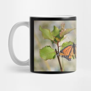 Monarch Butterfly Mug